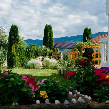 Medina * Sarajevo